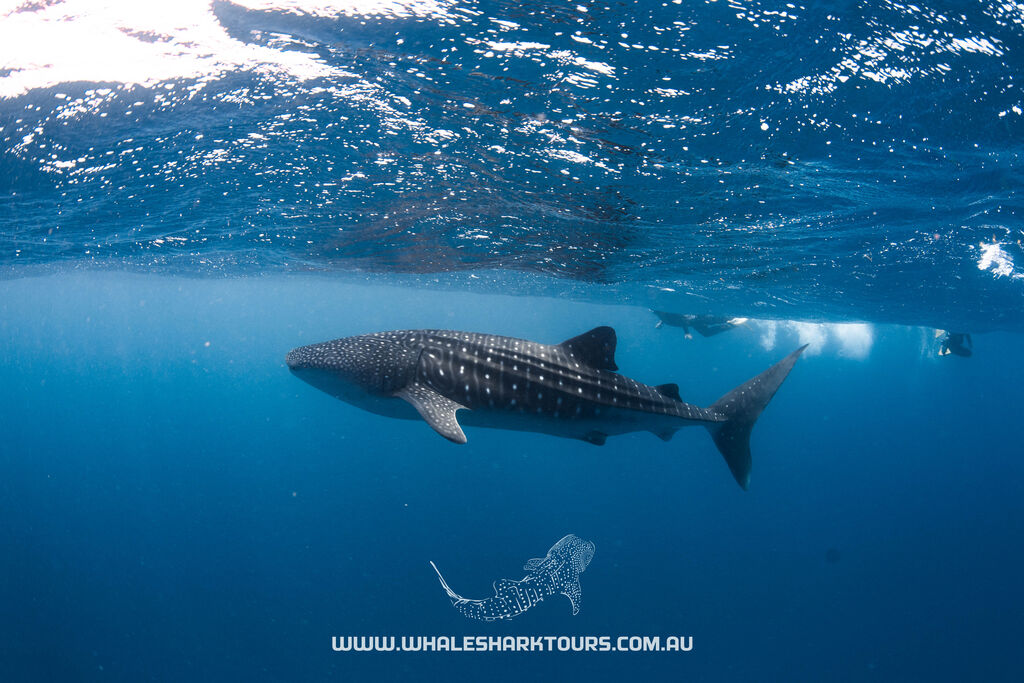 86bad10b-d984-43a6-9123-8f442aa6e75c