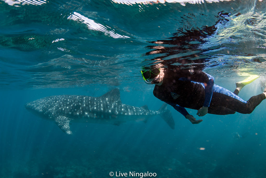 629e6788-3f9a-4da7-bc8b-d1ccac998f3f