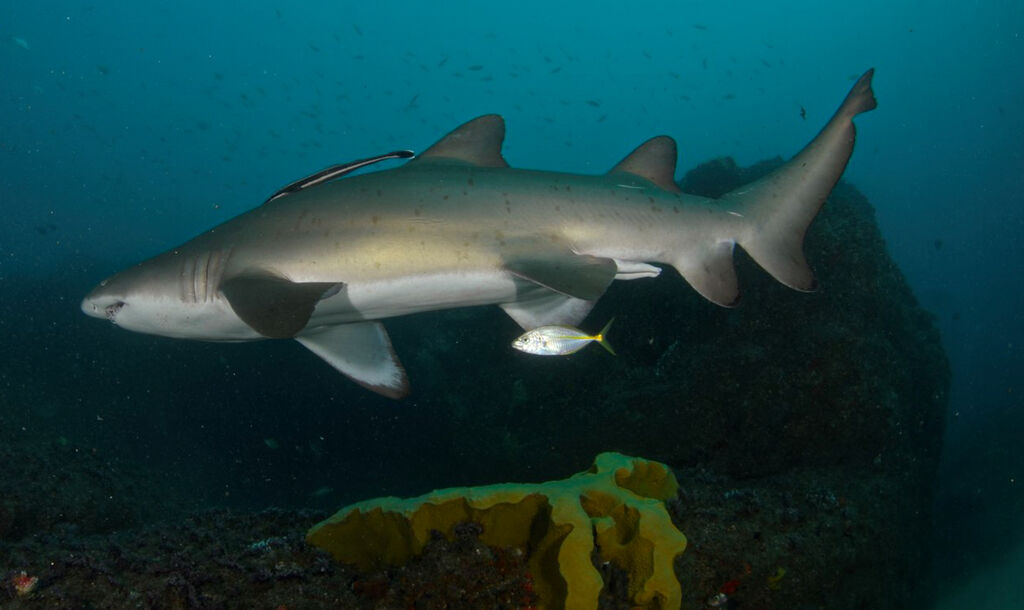 903b68f3-b428-4c0a-8773-0a59df091f61