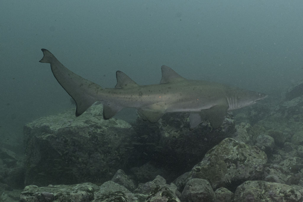 b666afcd-9b8d-4545-ba97-7194235fd600