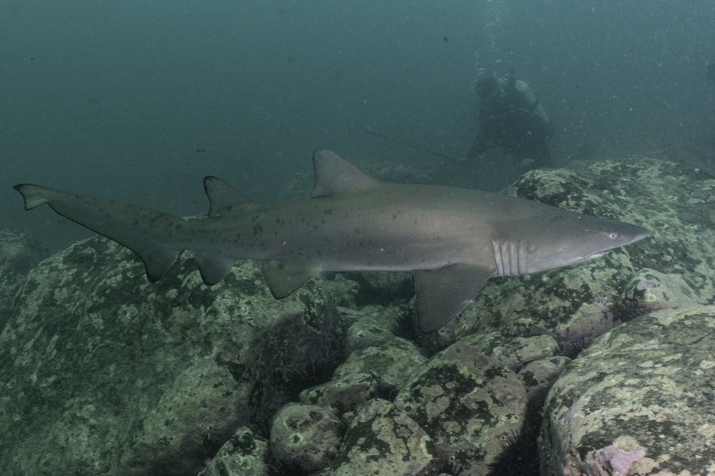 b666afcd-9b8d-4545-ba97-7194235fd600