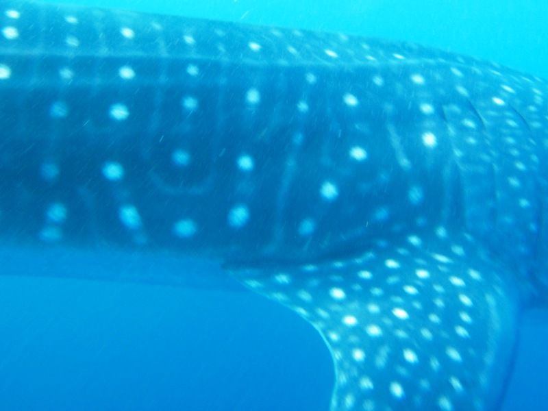 093e2b20-8dcd-484a-83af-b0e2a3e3b74d