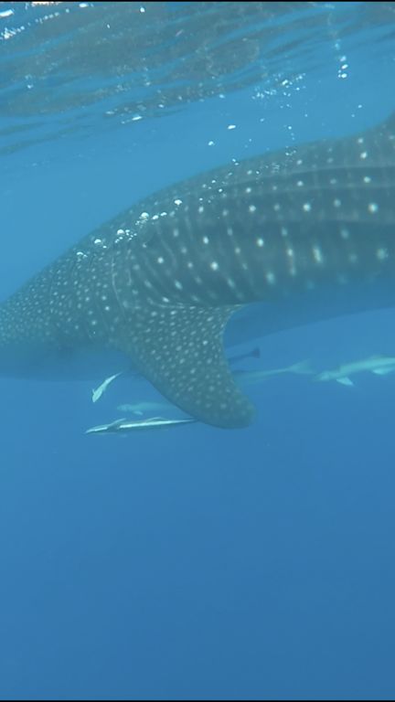 6d65b54d-84df-4691-af56-4dae63e829d9