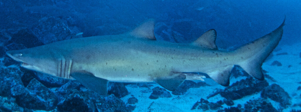 da9c7779-0033-4696-84b6-0b5efb73790b