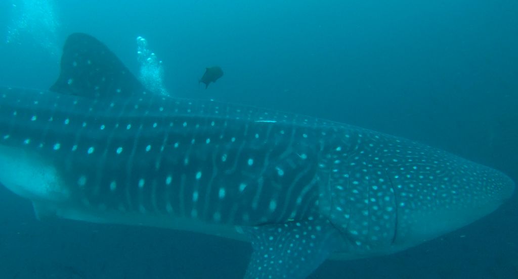 da618db6-54fb-4749-9a44-1aef7e108dd5