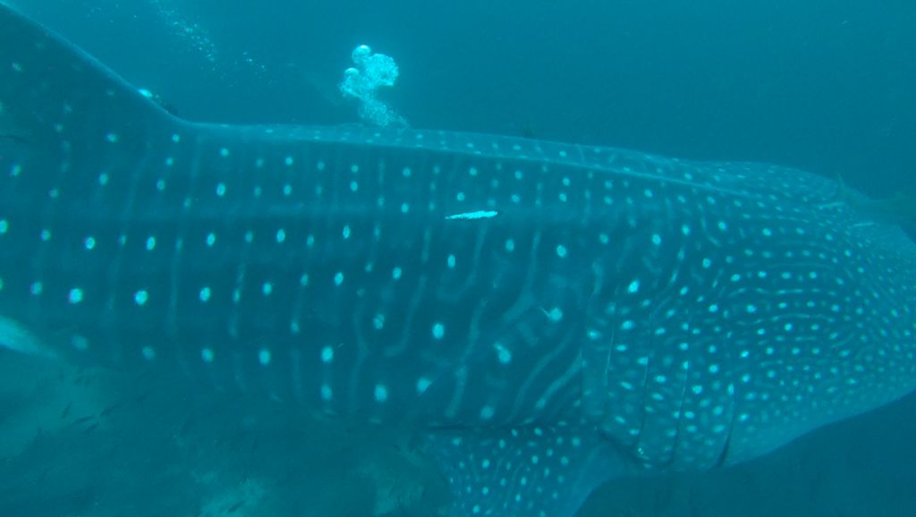 da618db6-54fb-4749-9a44-1aef7e108dd5