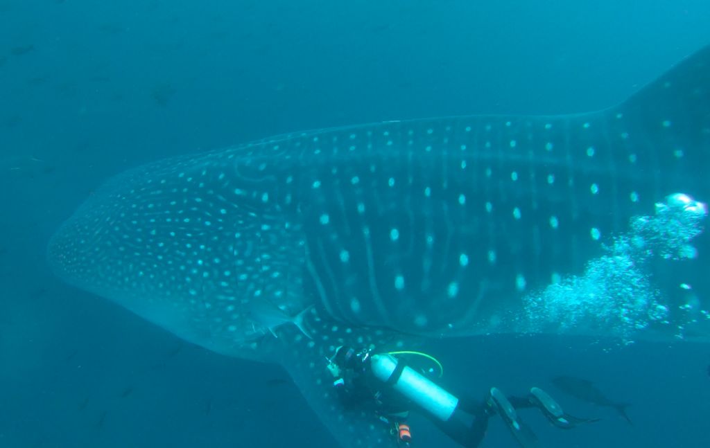 da618db6-54fb-4749-9a44-1aef7e108dd5