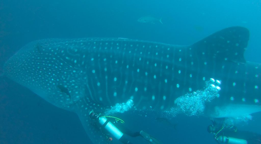 da618db6-54fb-4749-9a44-1aef7e108dd5