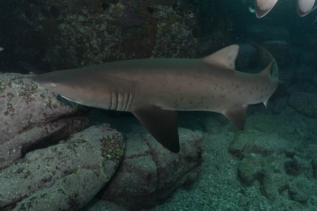 6d7093f3-f711-469d-8ad1-2bf3491000c3