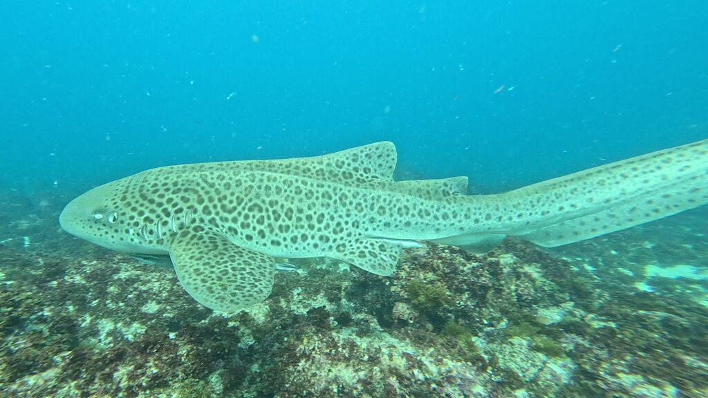 c2ca79fb-1eda-4564-9fc8-e95ecaa9609b