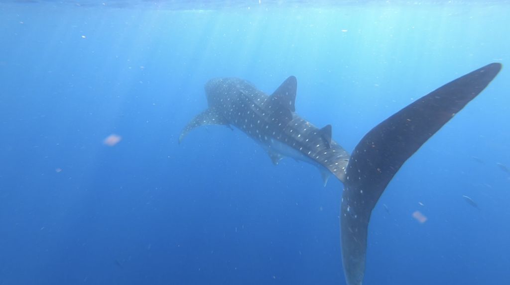 c6b6ab11-ea91-41af-ad70-1e7a46c395dc