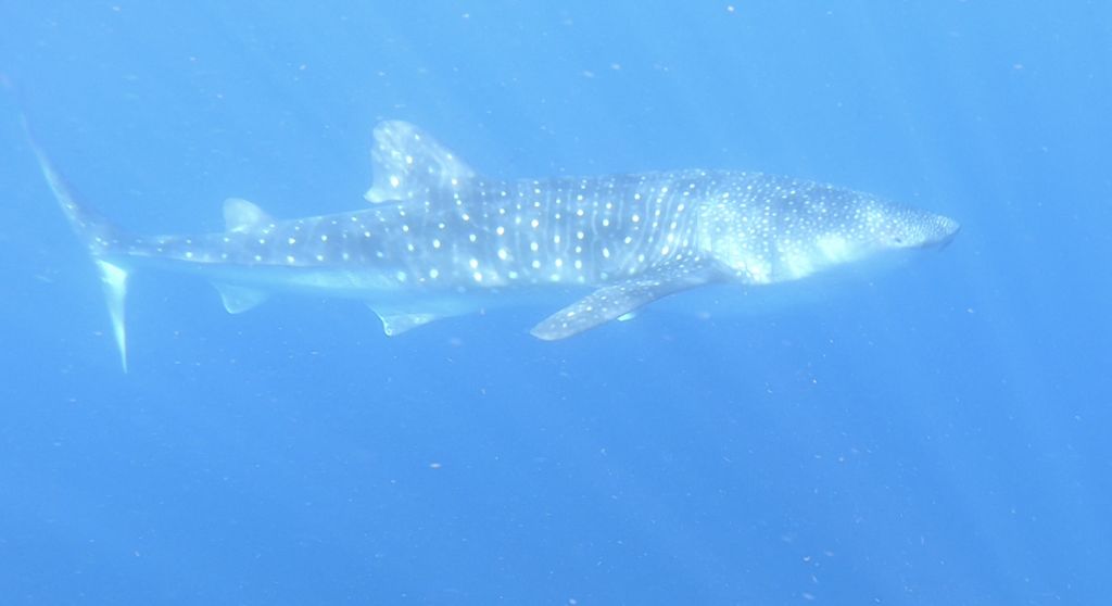 c6b6ab11-ea91-41af-ad70-1e7a46c395dc