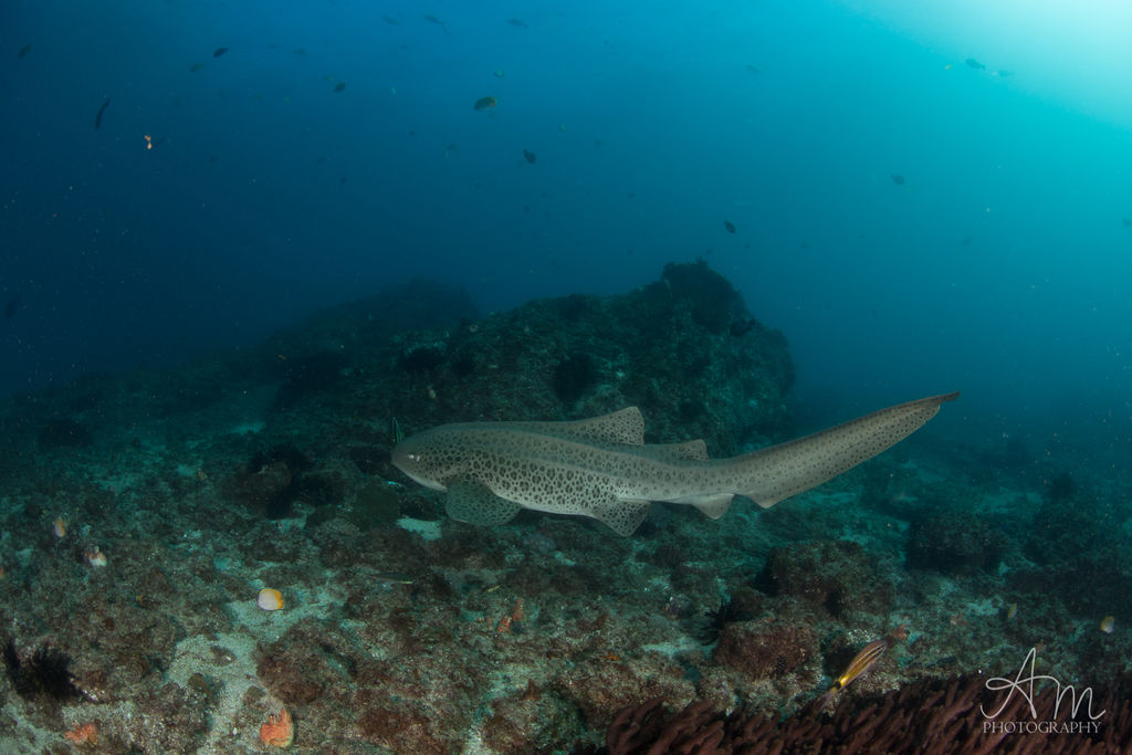 9eb2221a-709e-43d0-81b9-3ae6fc30a12d