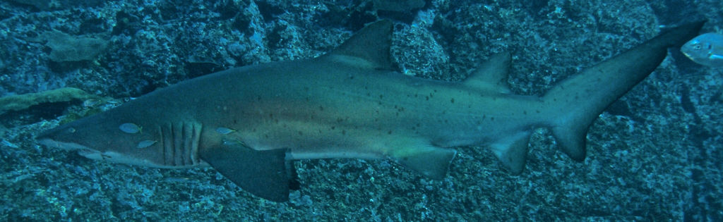 a9b7f495-aaa7-4913-a880-0ce6963592cc