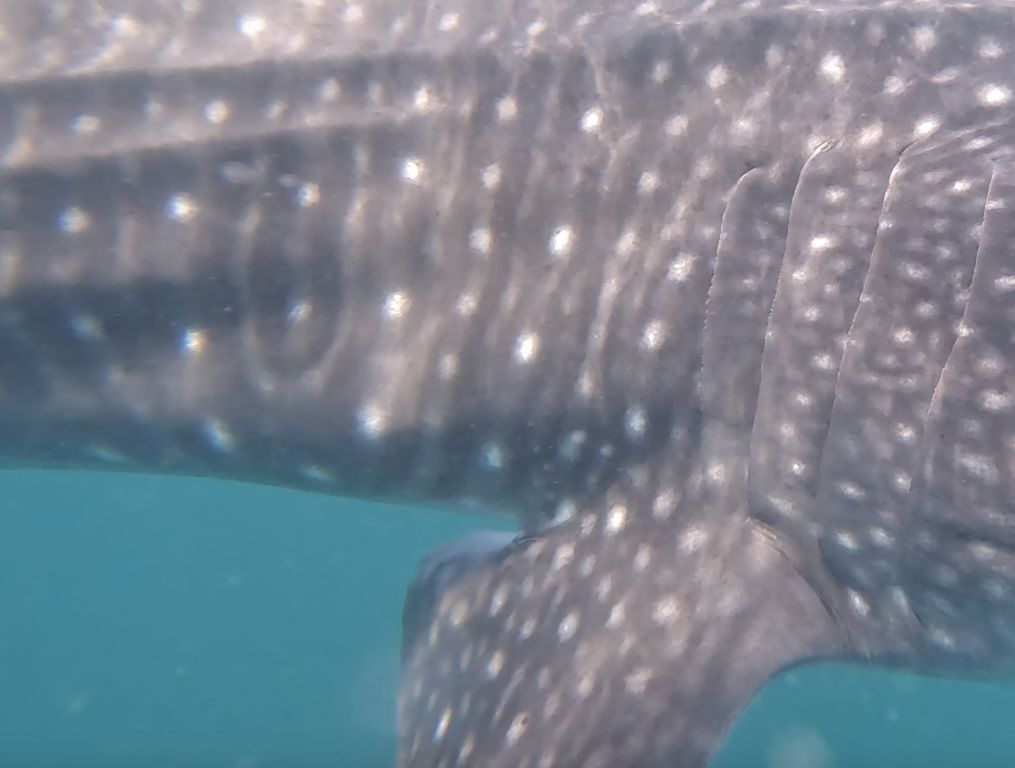 c2e8e3a5-25d9-4e9f-8b8e-7e56de03fbf2