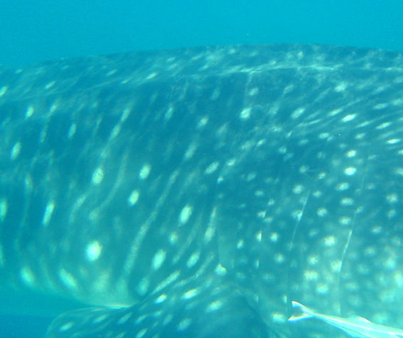 1852a48e-a9a2-4d6c-b6fd-df0812b71aab