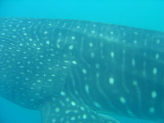 1852a48e-a9a2-4d6c-b6fd-df0812b71aab