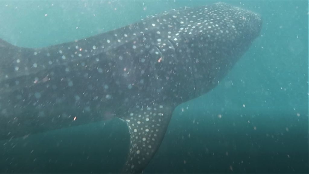 1f7596e4-d0d1-43fb-8c35-d10e7ec5a6ad