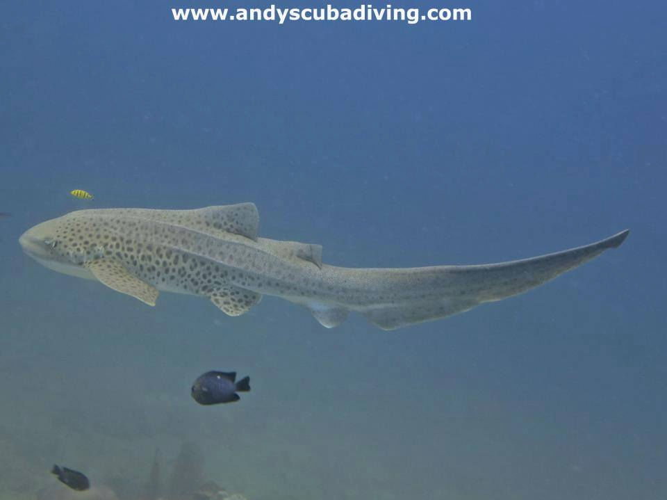 02fdd347-4e67-4ff2-9921-4fc21c3a7a7c