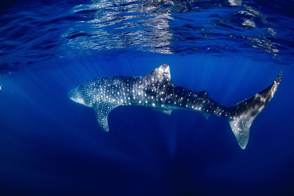 d8b0823d-5c56-47b4-9e70-736be28f9c32