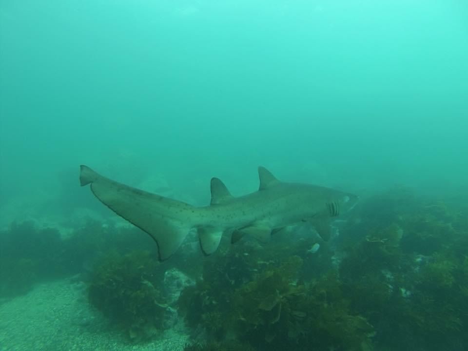 f7fa275b-f098-442b-a6a3-515865f2f4f1