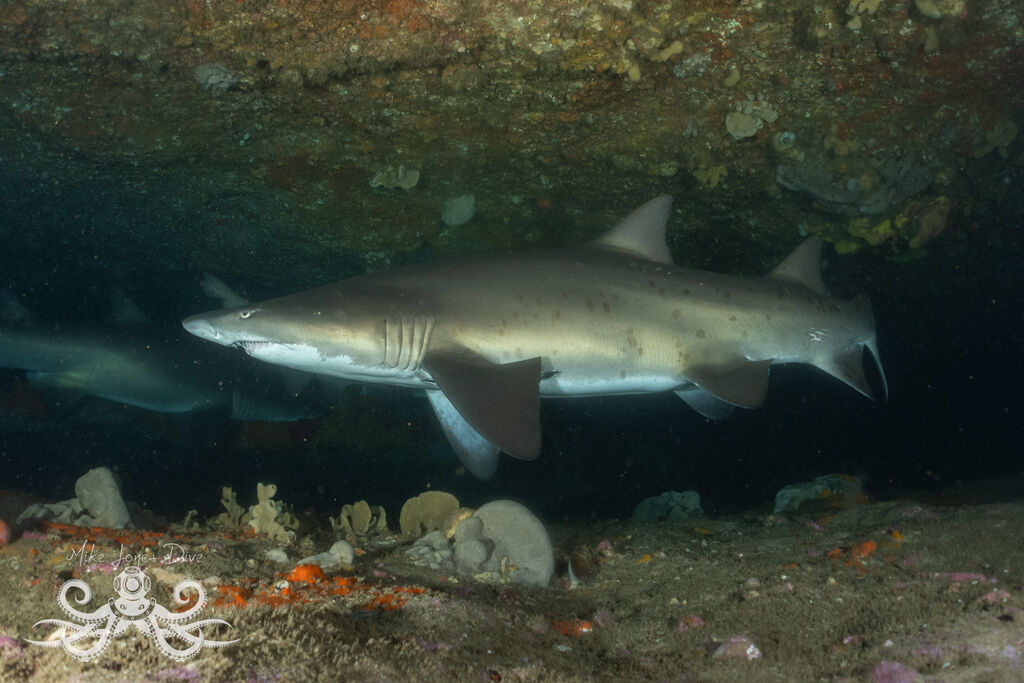 abb983cd-3a41-4f31-918d-40eaa43feb49