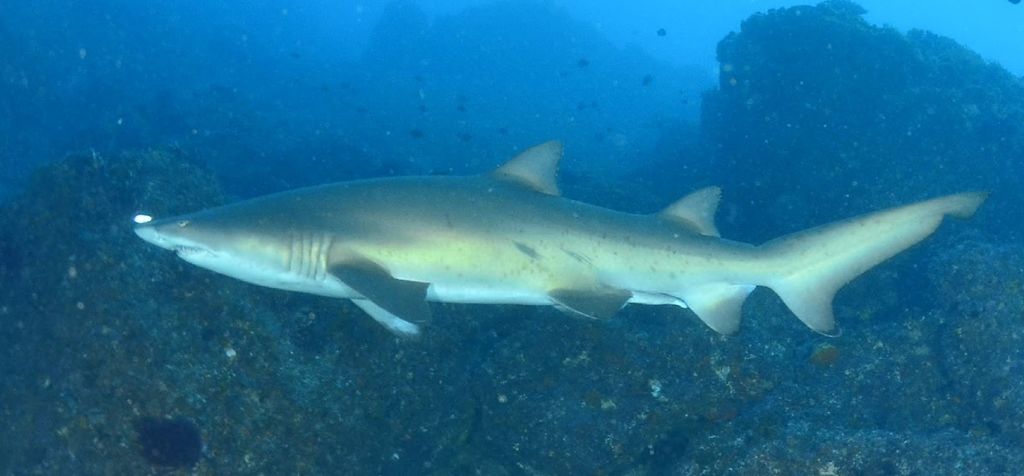 7d31a38d-76eb-43ac-843e-42761febb3ef