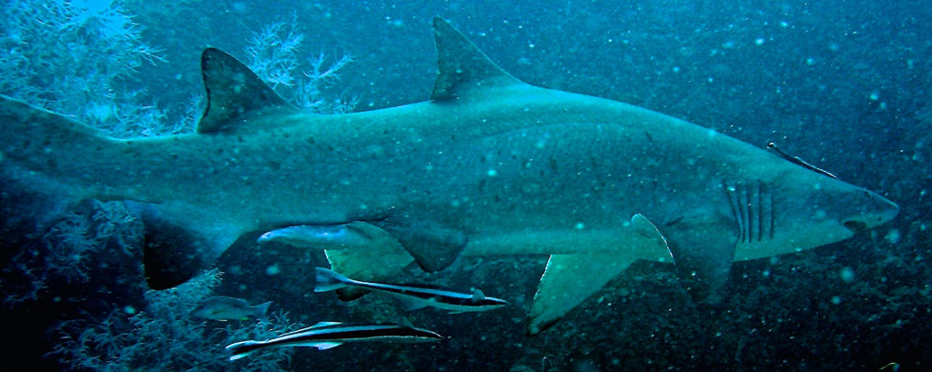 f25ca1fd-5408-47bf-8a31-036869431984