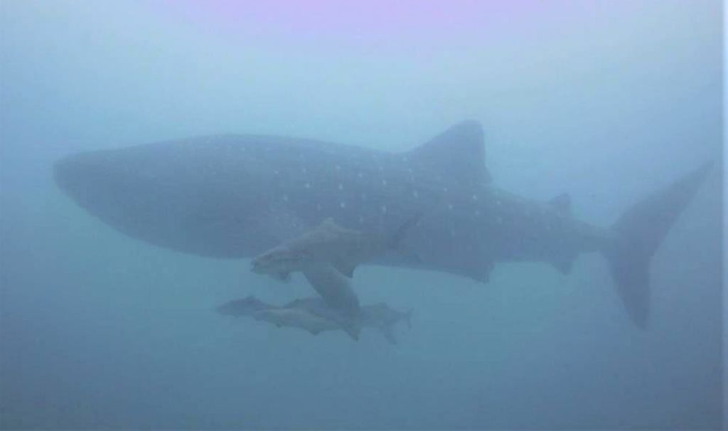 b49a59a7-a702-4db9-9b2e-cd4c66d8e740