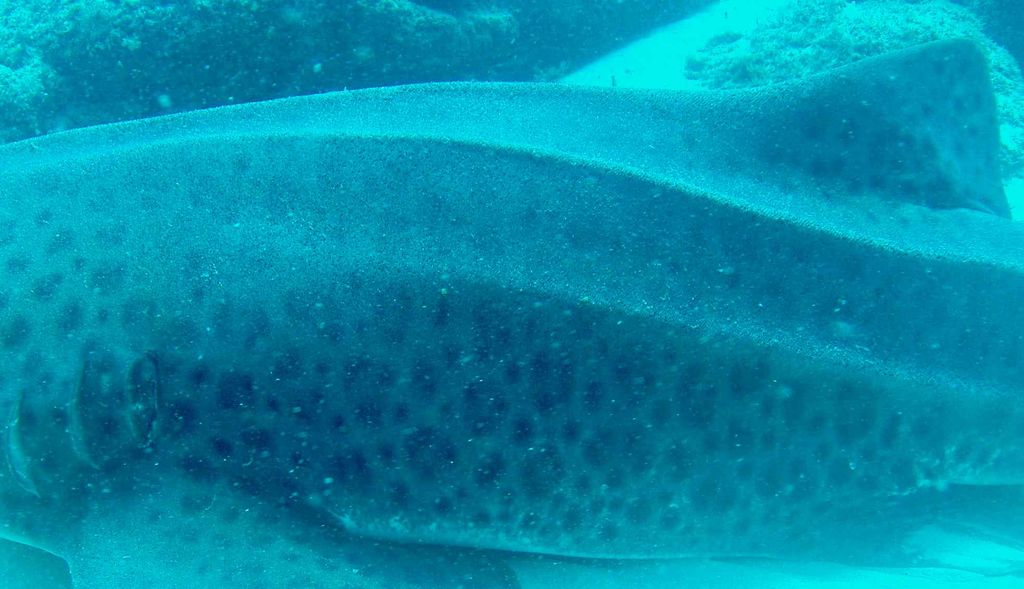 21e5468a-8998-4d36-bfcb-2a22f7b8b9fd