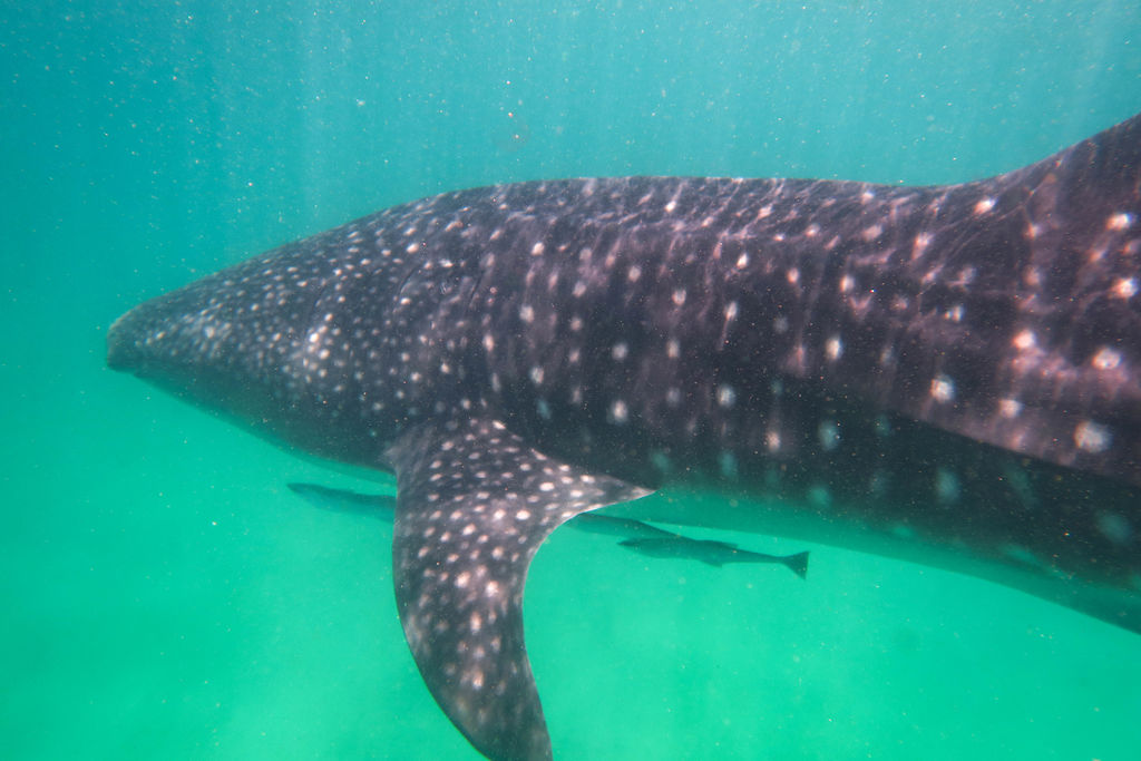 7069eea8-09ac-4fce-98be-bcb663d7a8fb