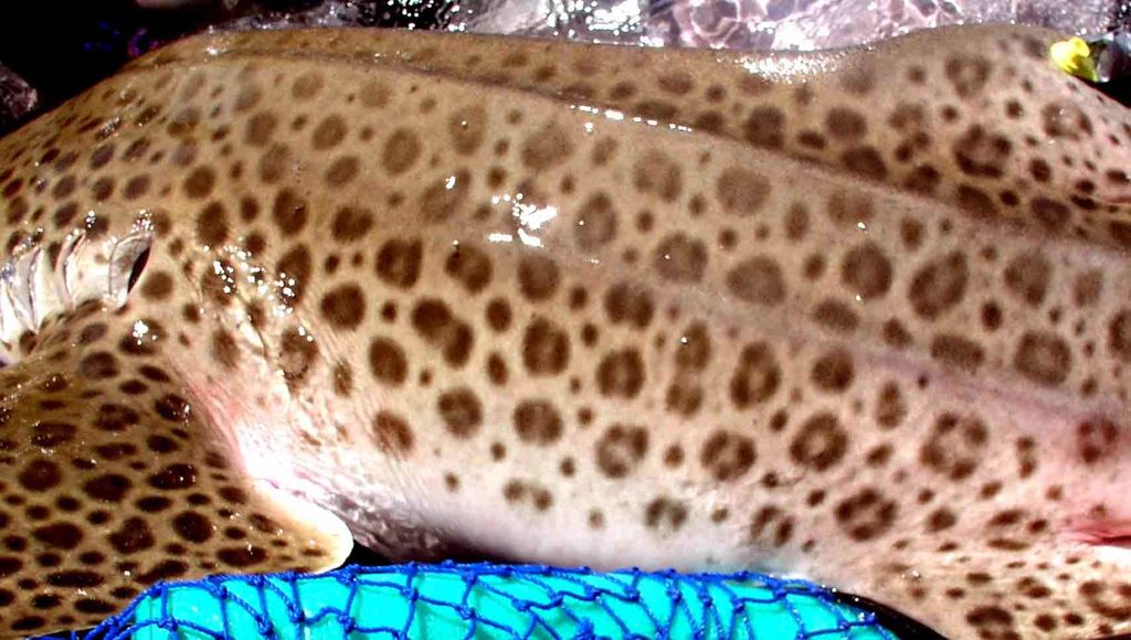 6fec3b51-1b88-4c8b-84f7-19bd193d672d