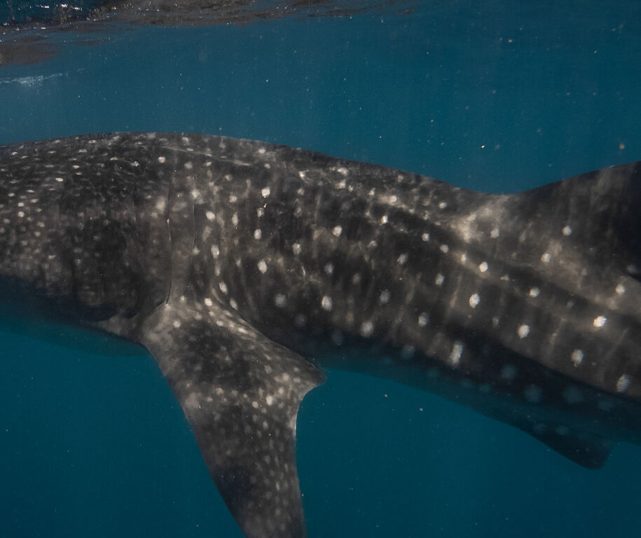 8d78e75a-ae7c-4a3c-a546-59ea210649c0