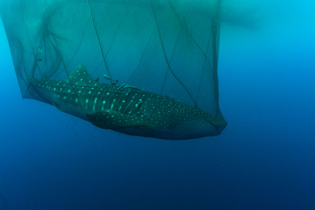 ba7aeb52-461a-431a-8c12-6894e379a1c6