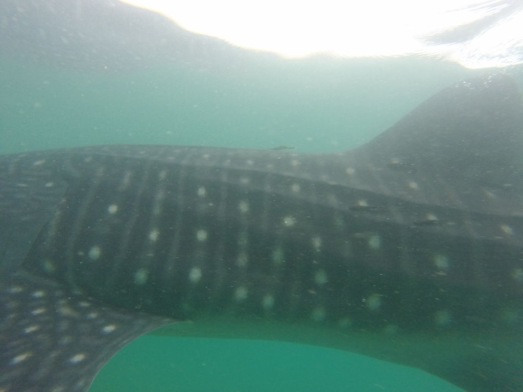 fda27389-1a70-4616-93a6-8b628fc233b4