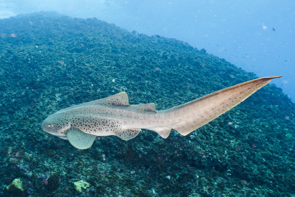 3a03e2b6-53c8-4303-bb98-ca003dfd0692