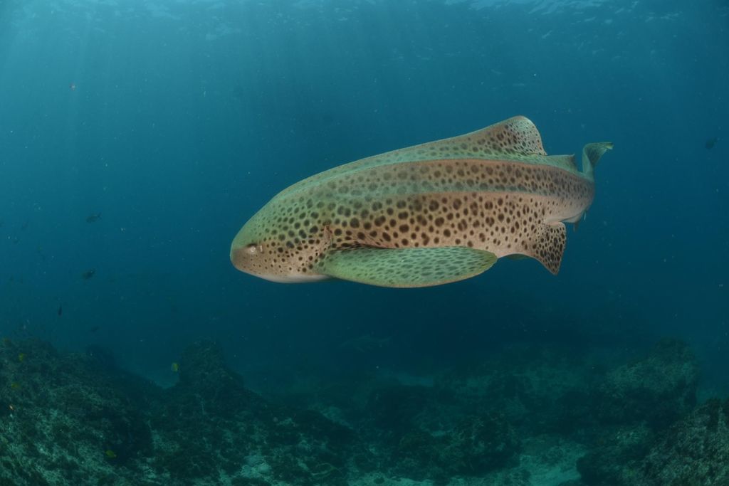 e1a5f633-09cd-4c99-8df1-01ec4848d965