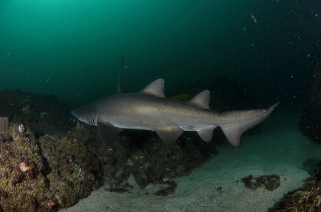 edb525ee-179b-457b-b504-891236562908