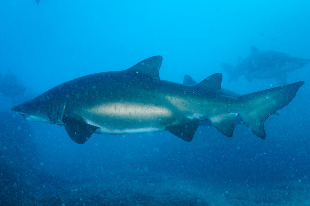 8907a3ba-3b2f-4a05-aabe-733432780c2f