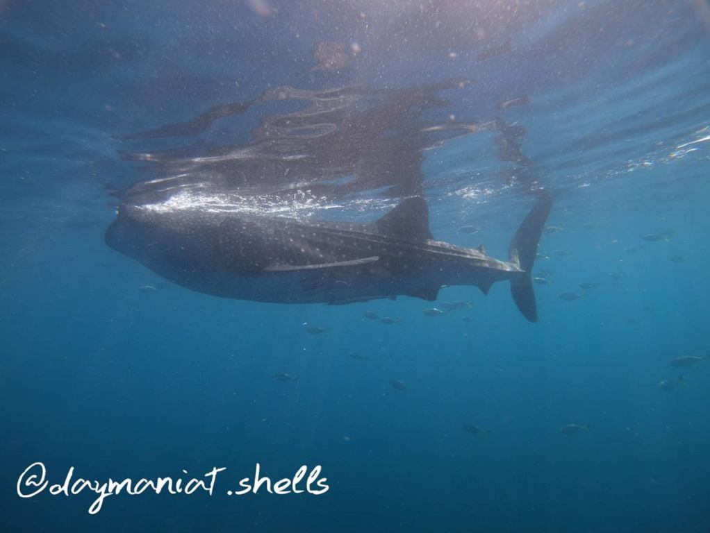 d9ac873a-e42a-45fe-9fb2-e50e100cf7b8