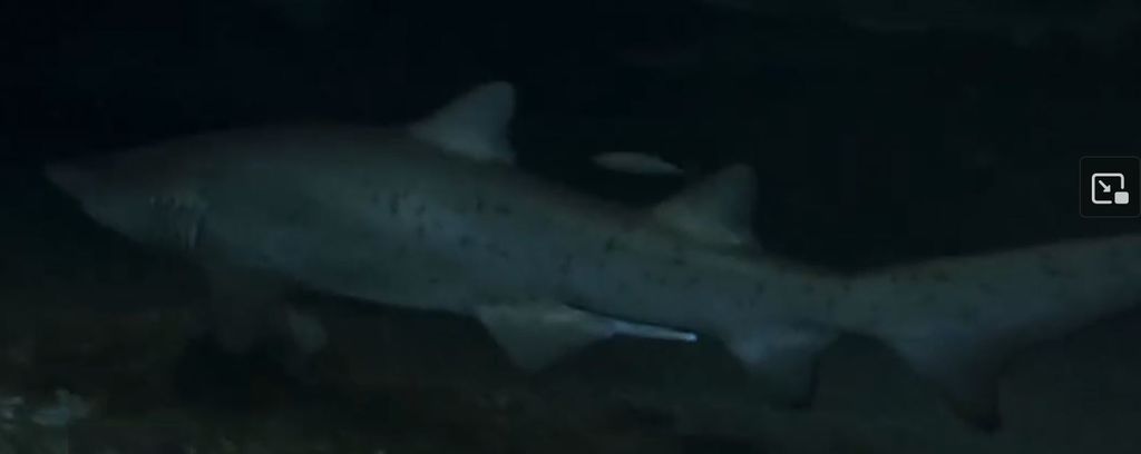 f4590363-b3e8-44a9-b46f-bc58eb317179