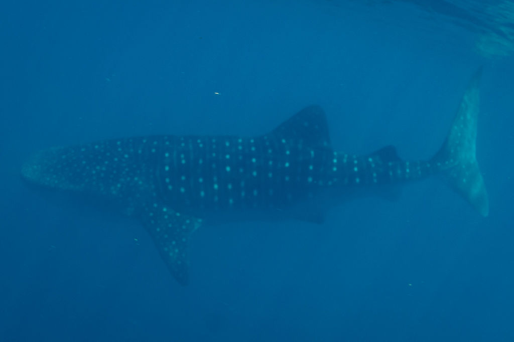 66b6248a-9b24-46ce-8b6e-a87941d1b2d4