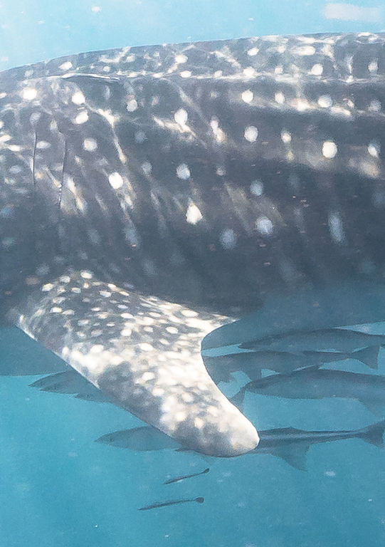 12b77eff-f217-446c-aba8-b4b462fdc8da