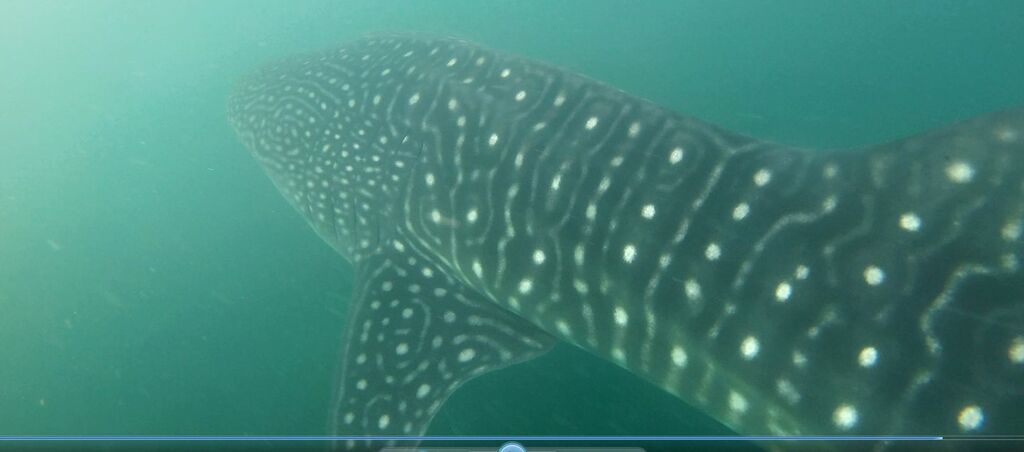 a9cfd1bf-4548-4057-8adc-d1ad622cac44