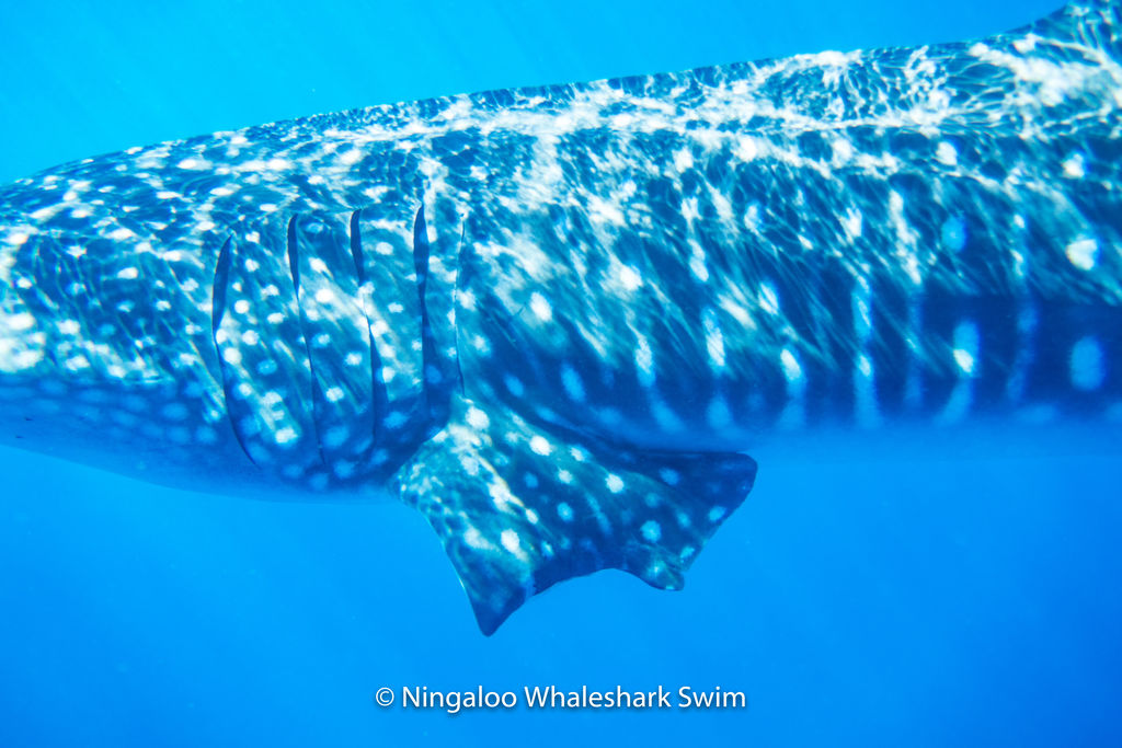 215892a3-d762-4abf-bd13-5bc3aae8621a