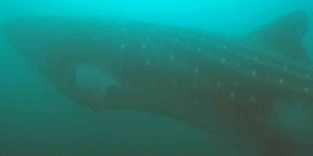 1082cec2-34a4-44a7-8846-c4ec6bdf1bdf