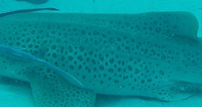 b907abe2-3d04-407f-b3ce-f925bc9d529d