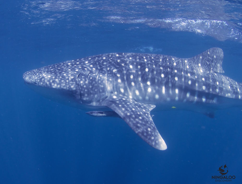 417589fc-3625-47b8-96d1-8f1235cedfd0