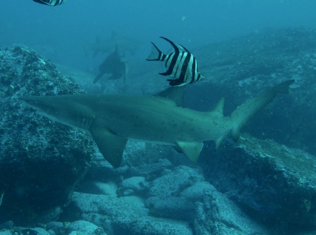 fc542d97-8cce-4cba-8c26-11c06ad7d9f6