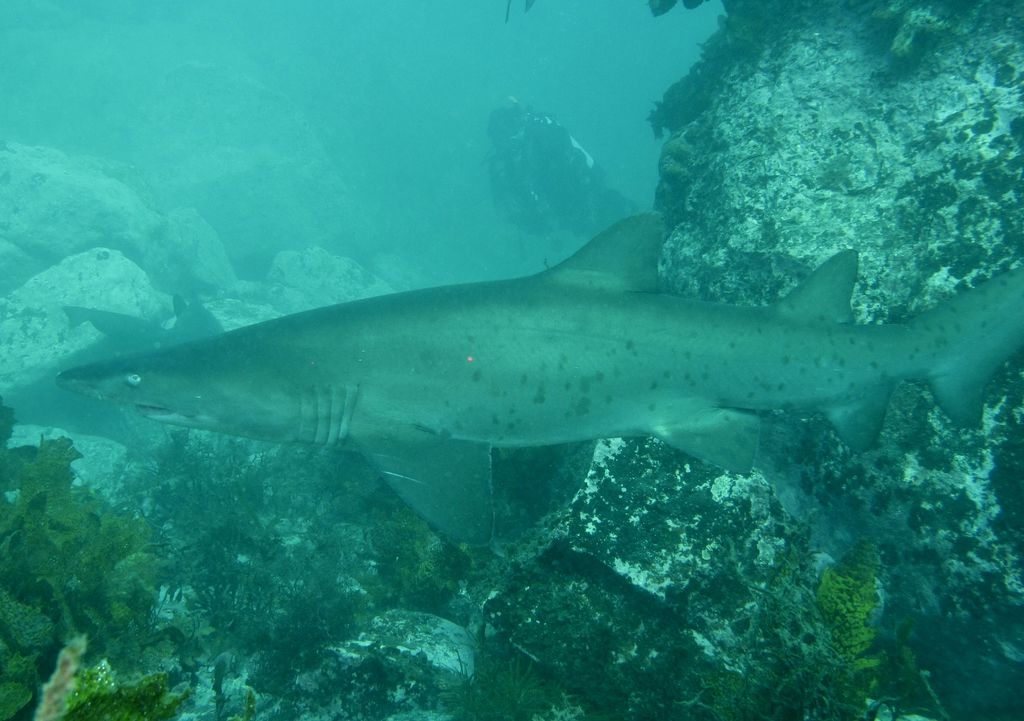 91b366ea-db18-4652-a51d-a6e5db32a668